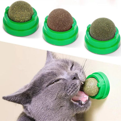 Catnip Wall Ball Treat